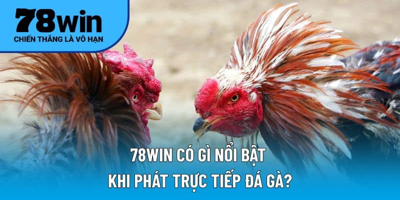78WIN có gì nổi bật khi phát trực tiếp đá gà?